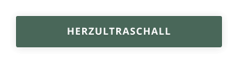 HERZULTRASCHALL