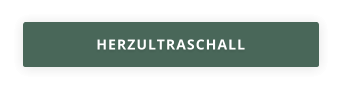 HERZULTRASCHALL