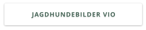 JAGDHUNDEBILDER VIO