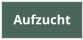 Aufzucht