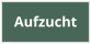 Aufzucht