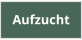 Aufzucht
